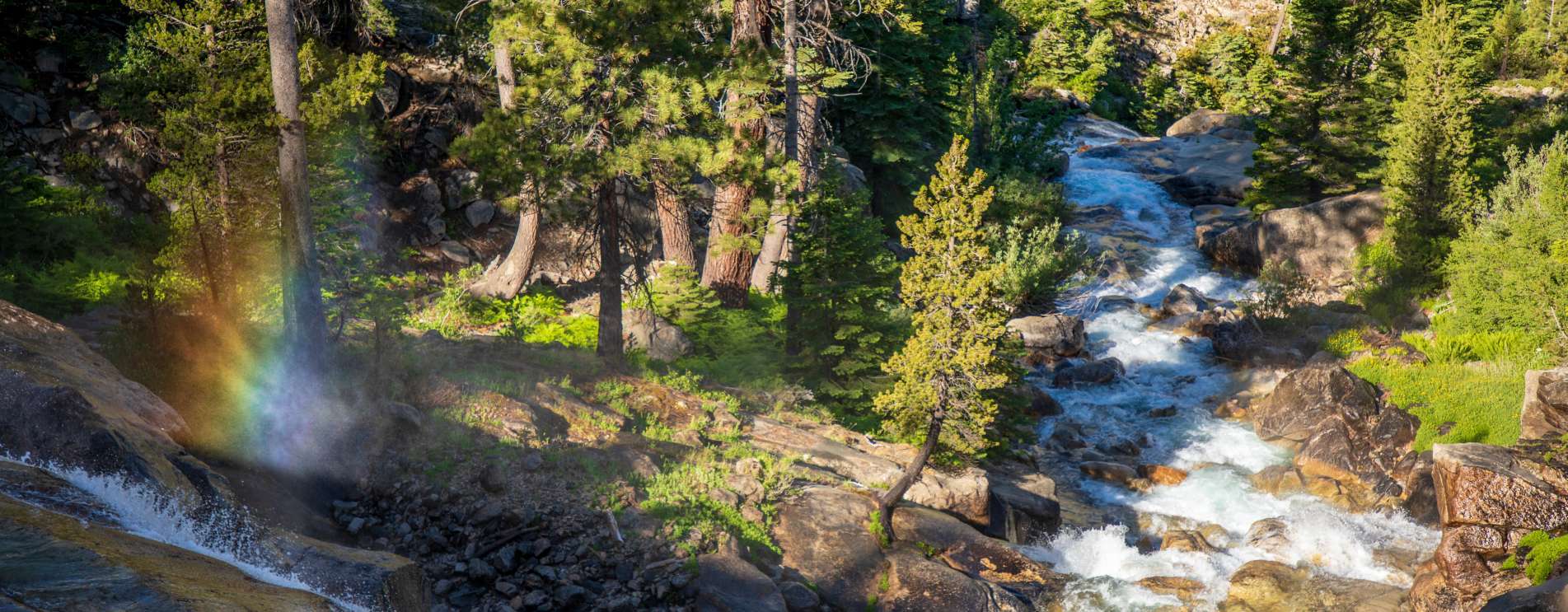 Things To Do In Fresno - University Inn